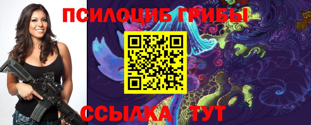 Псилоцибиновые грибы Cubensis  Вход с VPN  Гусь-Хрустальный 