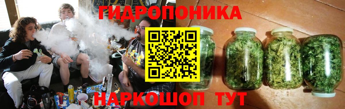 Бошки марихуана SATIVA & INDICA  Каннабис планчик  Гусь-Хрустальный  Вход с VPN  Каннабис Ganja 